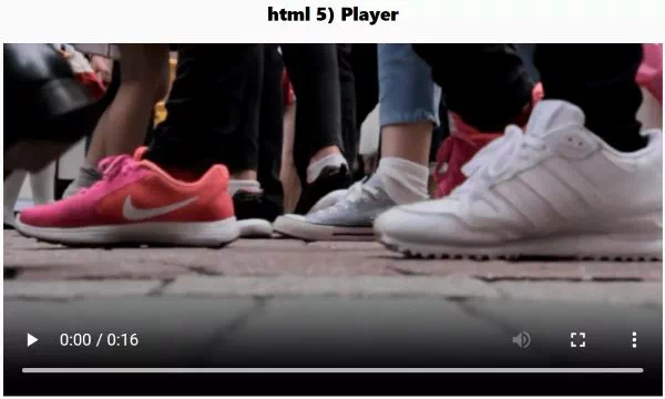 webp