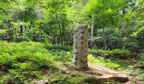 오버레이 카드 이미지