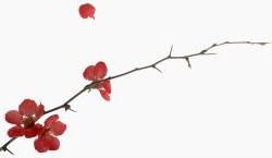 꼭 넣어주세요 ^^