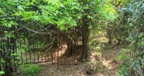 기암곡 삼층석탑