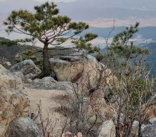 지바위골 마애불