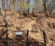 지바위골 마애불