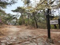 금오정에서 도로로