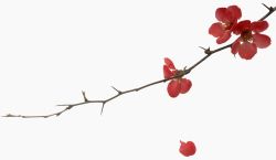 꼭 넣어주세요 ^^